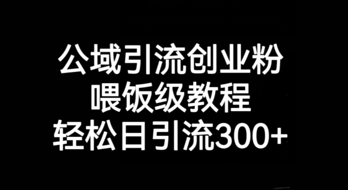公域引流创业粉，喂饭级教程，轻松日引流300+【揭秘】-第一精品资源库