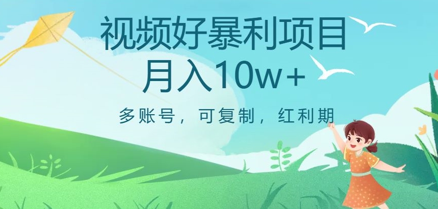 视频号暴利项目，多账号，可复制，红利期，月入10w+【揭秘】-第一精品资源库