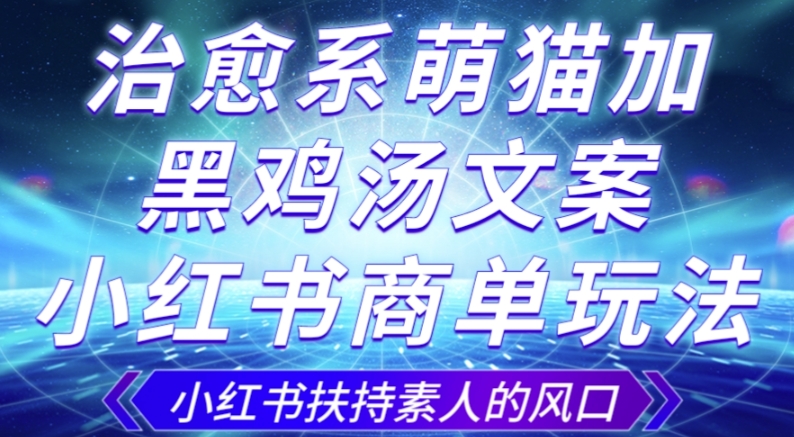 治愈系萌猫加+黑鸡汤文案，小红书商单玩法，3~10天涨到1000粉，一单200左右-第一精品资源库