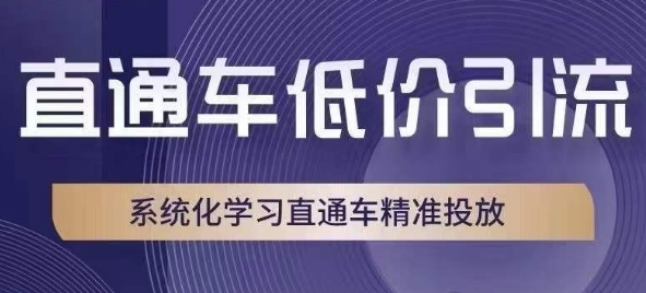 直通车低价引流课，系统化学习直通车精准投放-第一精品资源库