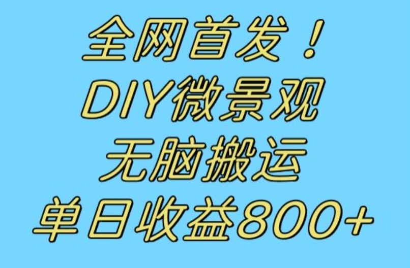 全网首发冷门赛道！DIY微景观，无脑搬运视频，日收益800+【揭秘】-第一精品资源库
