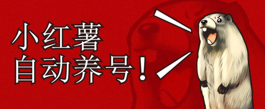 小红书养号秘籍，如何自动涨粉清晰系统标签打造高权重账号【揭秘】-第一精品资源库