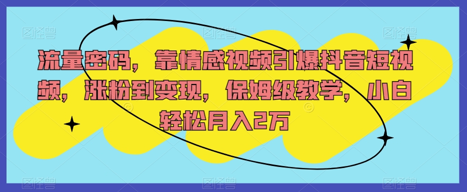 流量密码，靠情感视频引爆抖音短视频，涨粉到变现，保姆级教学，小白轻松月入2万【揭秘】-第一精品资源库