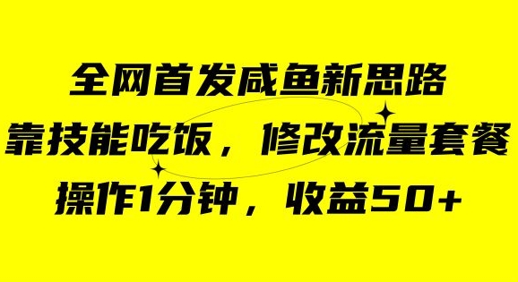 咸鱼冷门新玩法，靠“技能吃饭”，修改流量套餐，操作1分钟，收益50【揭秘】-第一精品资源库
