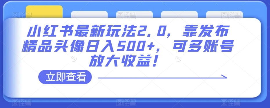 小红书最新玩法2.0，靠发布精品头像日入500+，可多账号放大收益！【揭秘】-第一精品资源库