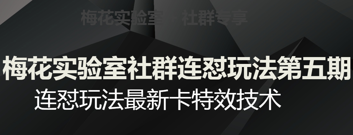 梅花实验室社群连怼玩法第五期，视频号连怼玩法最新卡特效技术-第一精品资源库