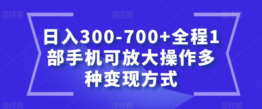 日入300-700+全程1部手机可放大操作多种变现方式【揭秘】-第一精品资源库
