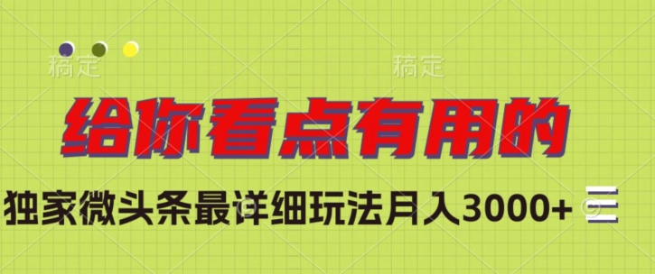 独家微头条最详细玩法，月入3000+【揭秘】-第一精品资源库