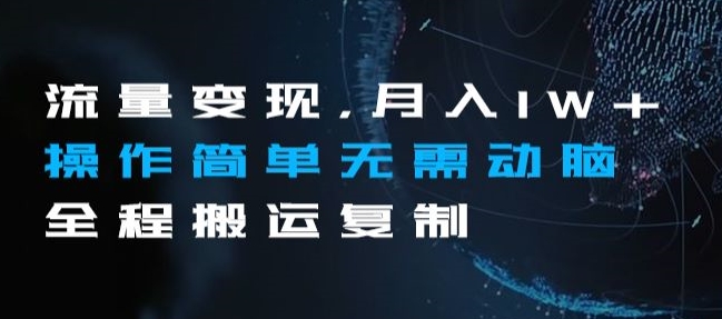 流量变现，月入1W+操作简单无需动脑全程搬运复制【揭秘】-第一精品资源库