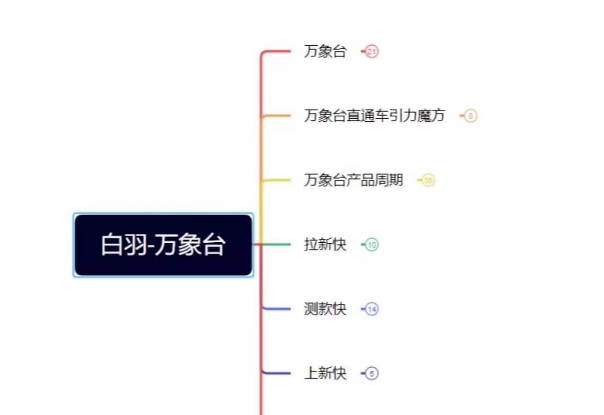 白羽·直引万搜索全篇，从0-1，多个类目实操经验总结付费-第一精品资源库