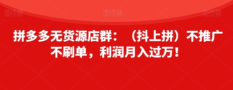 拼多多无货源店群：（抖上拼）不推广不刷单，利润月入过万！【揭秘】-第一精品资源库