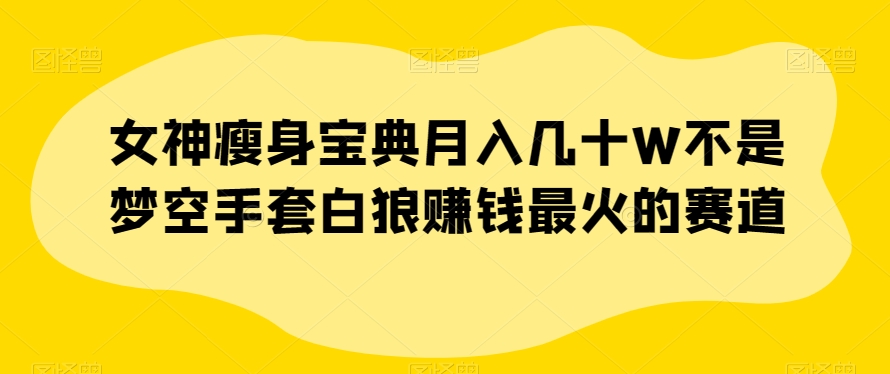 女神瘦身宝典月入几十W不是梦空手套白狼赚钱最火的赛道【揭秘】-第一精品资源库