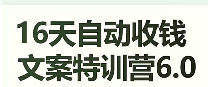 16天自动收钱文案特训营6.0，学会儿每天自动咔咔收钱-第一精品资源库