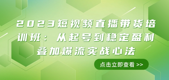 2023短视频直播带货培训班：从起号到稳定盈利叠加爆流实战心法（11节课）-第一精品资源库