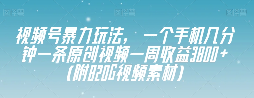 视频号暴力玩法，一个手机几分钟一条原创视频一周收益3800+（附820G视频素材）-第一精品资源库
