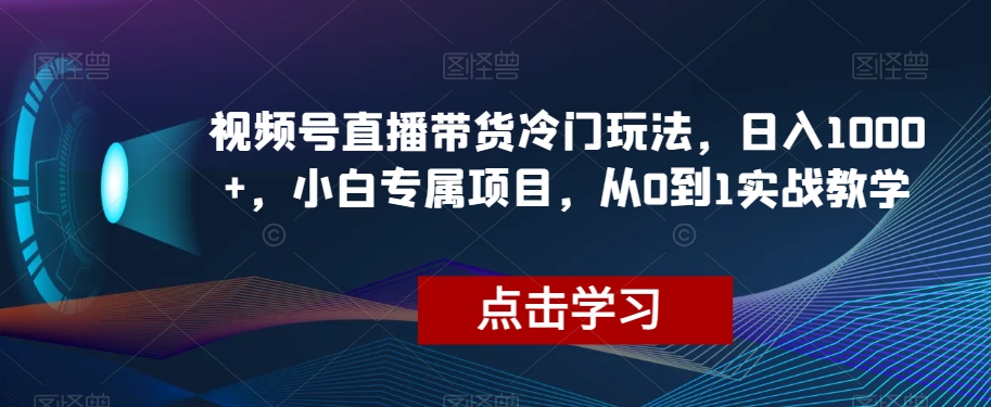 视频号直播带货冷门玩法，日入1000+，小白专属项目，从0到1实战教学【揭秘】-第一精品资源库