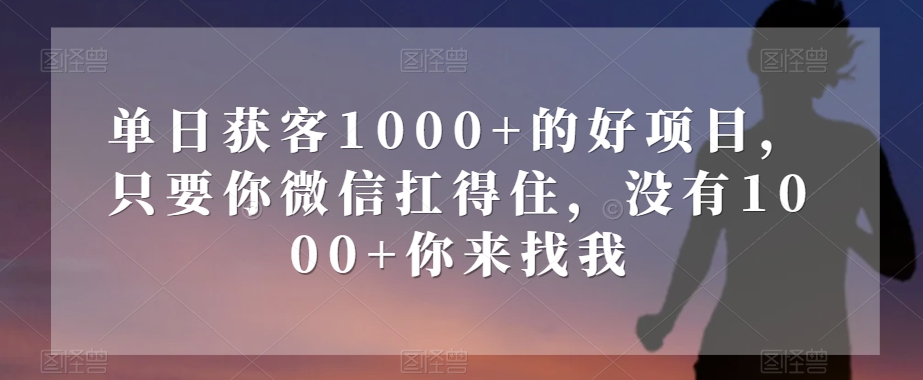 单日获客1000+的好项目，只要你微信扛得住，没有1000+你来找我【揭秘】-第一精品资源库