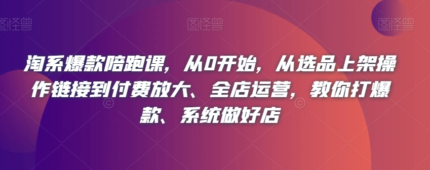 淘系爆款陪跑课，从0开始，从选品上架操作链接到付费放大、全店运营，教你打爆款、系统做好店-第一精品资源库