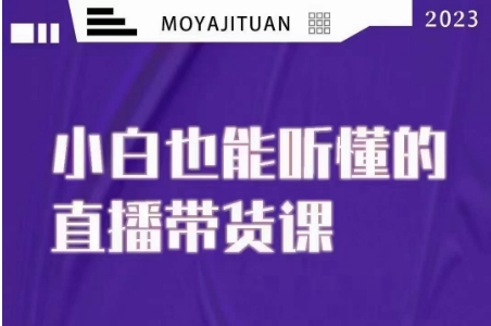 大威本威·能听懂的直播带货课，小白也能听懂，20节完整-第一精品资源库