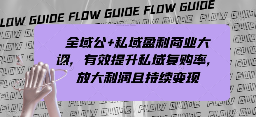 全域公+私域盈利商业大课，有效提升私域复购率，放大利润且持续变现-第一精品资源库