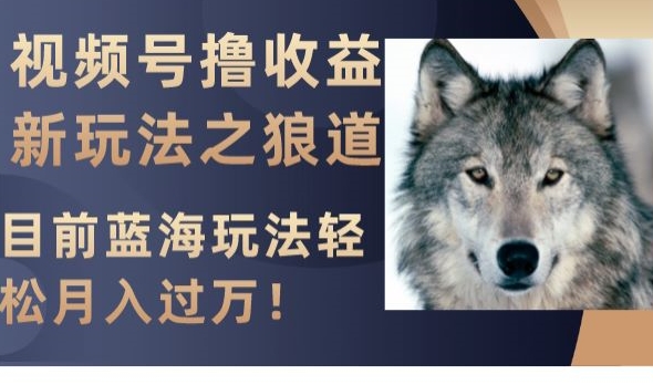 视频号撸收益新玩法之狼道，目前蓝海玩法，轻松月入过万【揭秘】-第一精品资源库