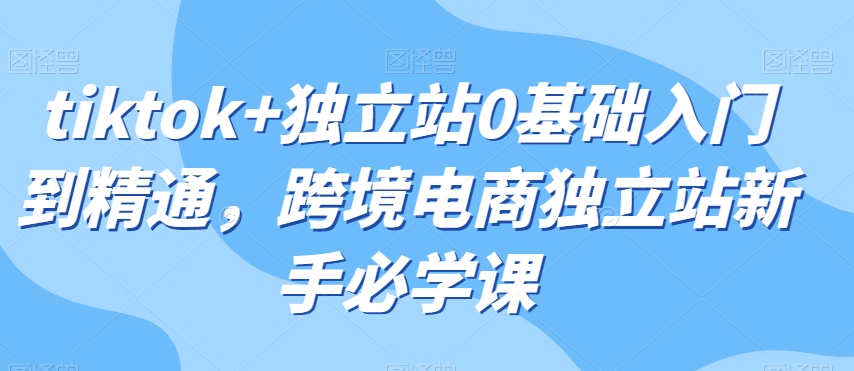 tiktok+独立站0基础入门到精通，跨境电商独立站新手必学课-第一精品资源库