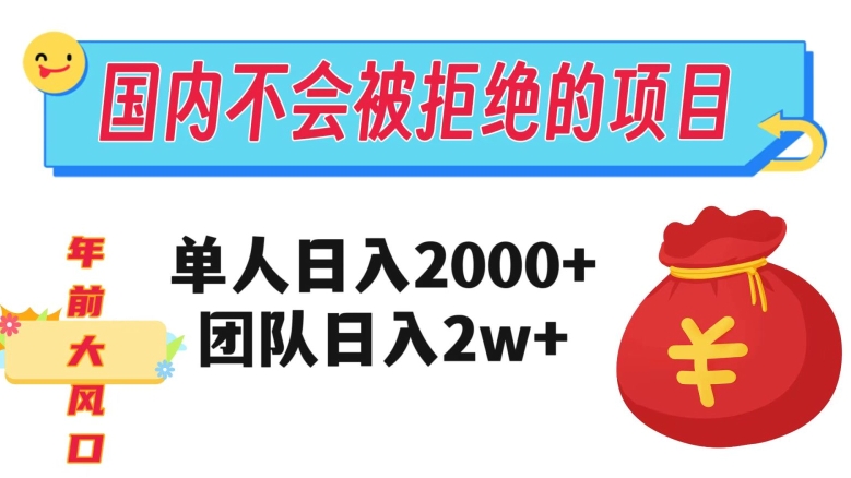 在国内不怕被拒绝的项目，单人日入2000，团队日入20000+【揭秘】-第一精品资源库