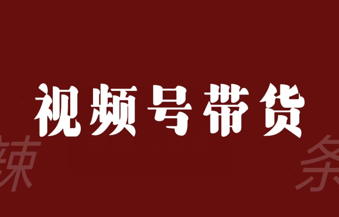 视频号带货联盟，赚信息差的带货钱，只需手机随时随地都可以做！-第一精品资源库