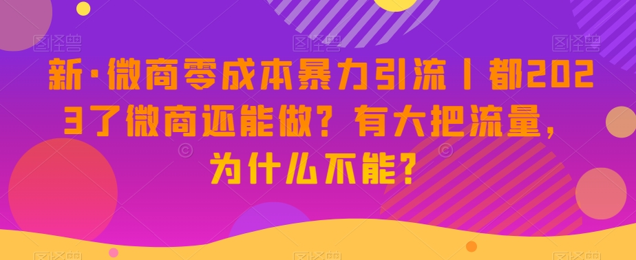 新·微商零成本暴力引流丨都2023了微商还能做？有大把流量，为什么不能？-第一精品资源库