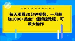 每天观看30分钟视频，一月躺赚1000+美金！保姆级教程，可放大操作【揭秘】-第一精品资源库