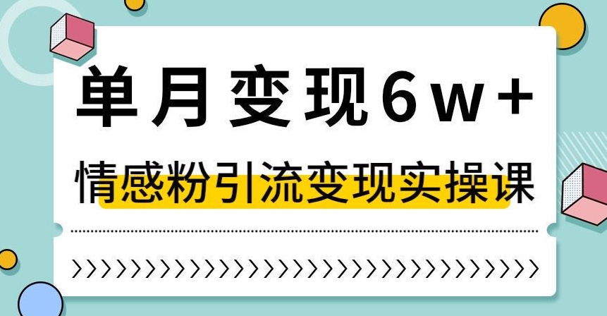 单月变现6W+，抖音情感粉引流变现实操课，小白可做，轻松上手，独家赛道【揭秘】-第一精品资源库