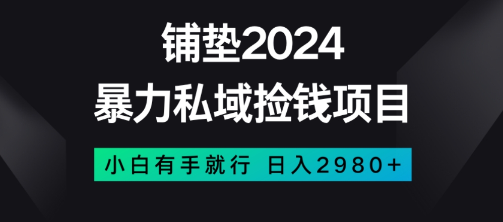 暴力私域捡钱项目，小白无脑操作，日入2980【揭秘】-第一精品资源库