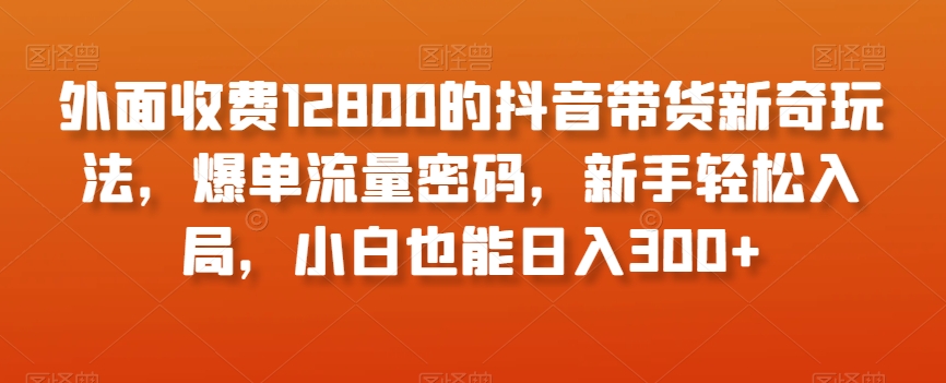 外面收费12800的抖音带货新奇玩法，爆单流量密码，新手轻松入局，小白也能日入300+【揭秘】-第一精品资源库