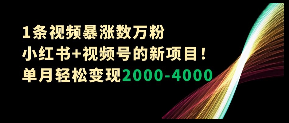 1条视频暴涨数万粉–小红书+视频号的新项目！单月轻松变现2000-4000【揭秘】-第一精品资源库