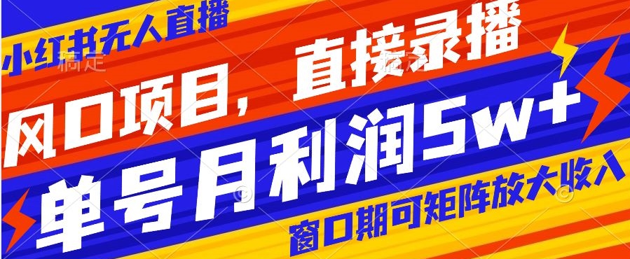 风口项目，小红书无人直播带货，直接录播，可矩阵，月入5w+【揭秘】-第一精品资源库