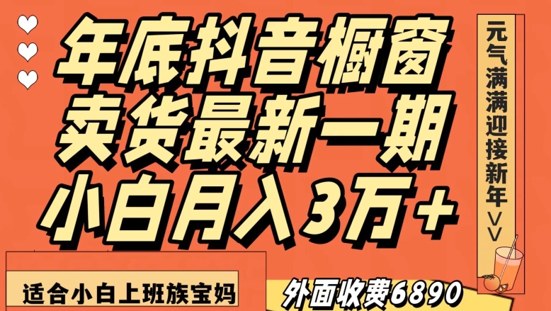 外面收费6890元年底抖音橱窗卖货最新一期，小白月入3万，适合小白上班族宝妈【揭秘】-第一精品资源库