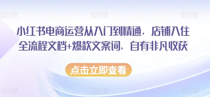 小红书电商运营从入门到精通，店铺入住全流程文档+爆款文案词，自有非凡收获-第一精品资源库