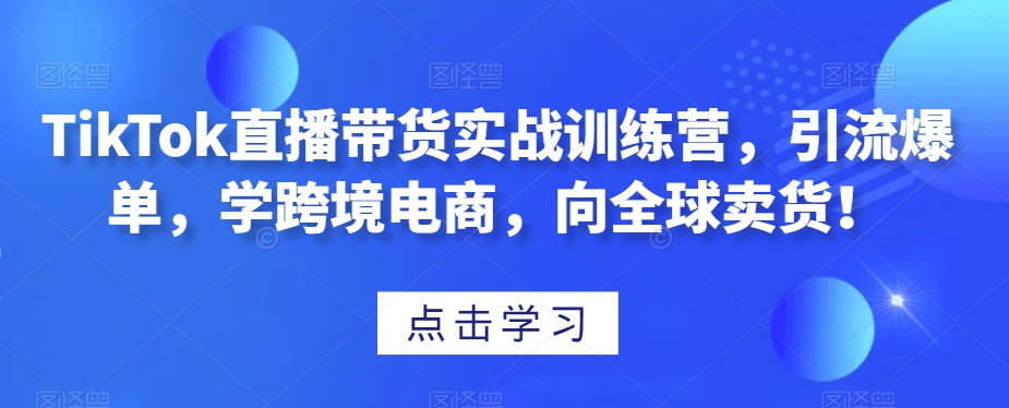 TikTok直播带货实战训练营，引流爆单，学跨境电商，向全球卖货！-第一精品资源库