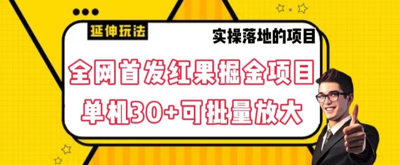 全网首发红果免费短剧掘金项目，单机30+可批量放大【揭秘】-第一精品资源库