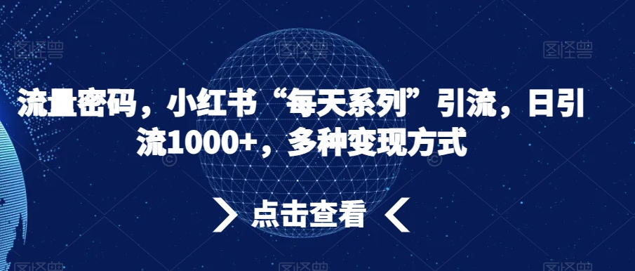 流量密码，小红书“每天系列”引流，日引流1000+，多种变现方式【揭秘】-第一精品资源库