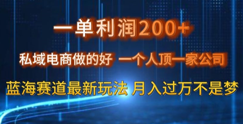 一单利润200私域电商做的好，一个人顶一家公司蓝海赛道最新玩法【揭秘】-第一精品资源库