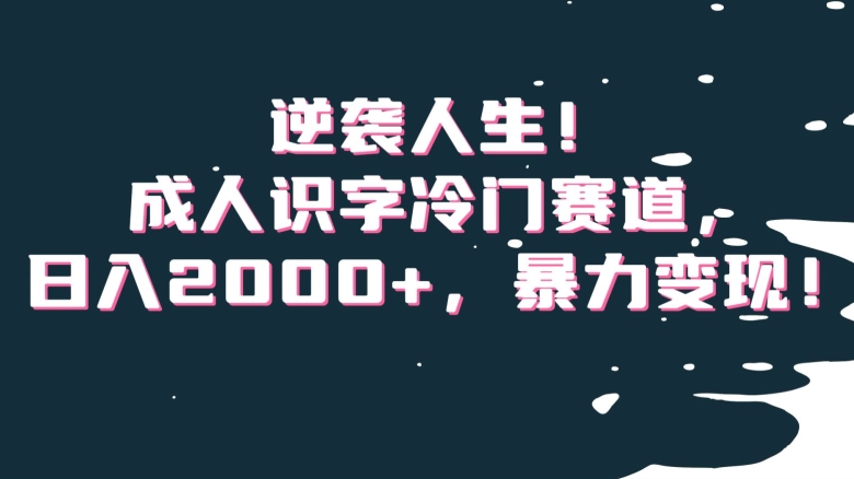 逆袭人生！成人识字冷门赛道，日入2000+，暴力变现！【揭秘】-第一精品资源库