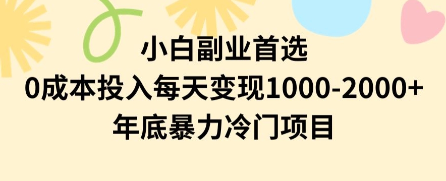 小白副业首选，0成本投入，每天变现1000-2000年底暴力冷门项目【揭秘】-第一精品资源库