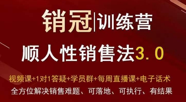 爆款！销冠训练营3.0之顺人性销售法，全方位解决销售难题、可落地、可执行、有结果-第一精品资源库