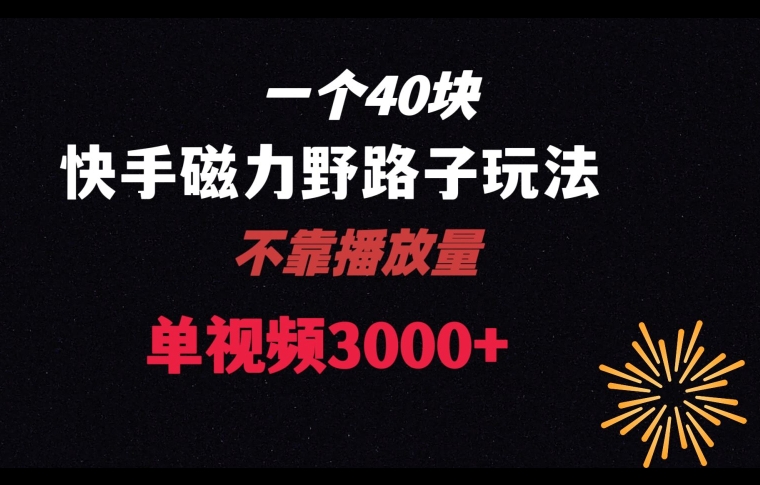 一个40块，快手联合美团磁力新玩法，无视机制野路子玩法，单视频收益4位数【揭秘】-第一精品资源库