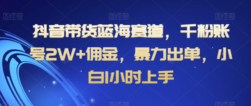 抖音带货蓝海赛道，千粉账号2W+佣金，暴力出单，小白1小时上手【揭秘】-第一精品资源库