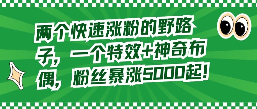两个快速涨粉的野路子，一个特效+神奇布偶，粉丝暴涨5000起【揭秘】-第一精品资源库