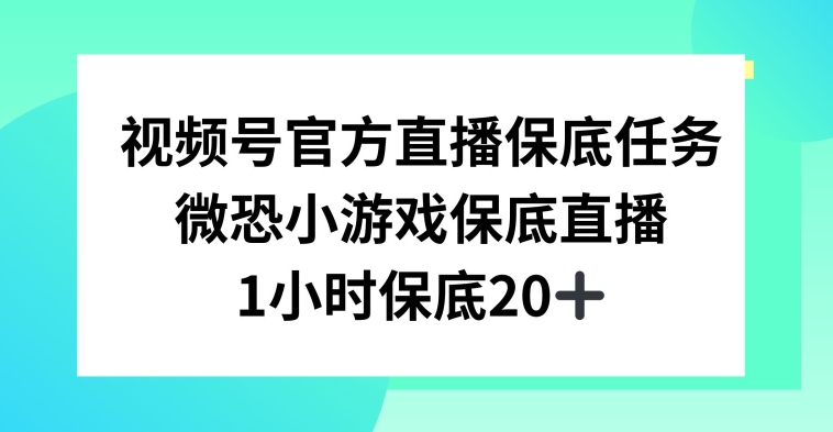 视频号直播任务，微恐小游戏，1小时20+【揭秘】-第一精品资源库