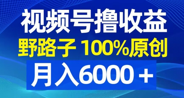 视频号野路子撸收益，100%原创，条条爆款，月入6000＋【揭秘】-第一精品资源库