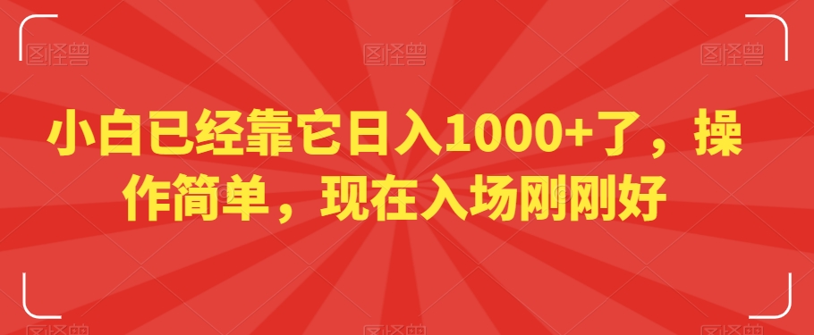 小白已经靠它日入1000+了，操作简单，现在入场刚刚好【揭秘】-第一精品资源库